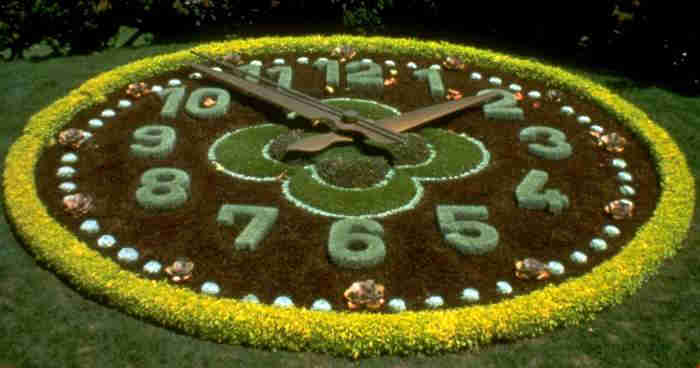 Flower Clock